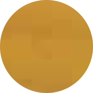 Barnizada